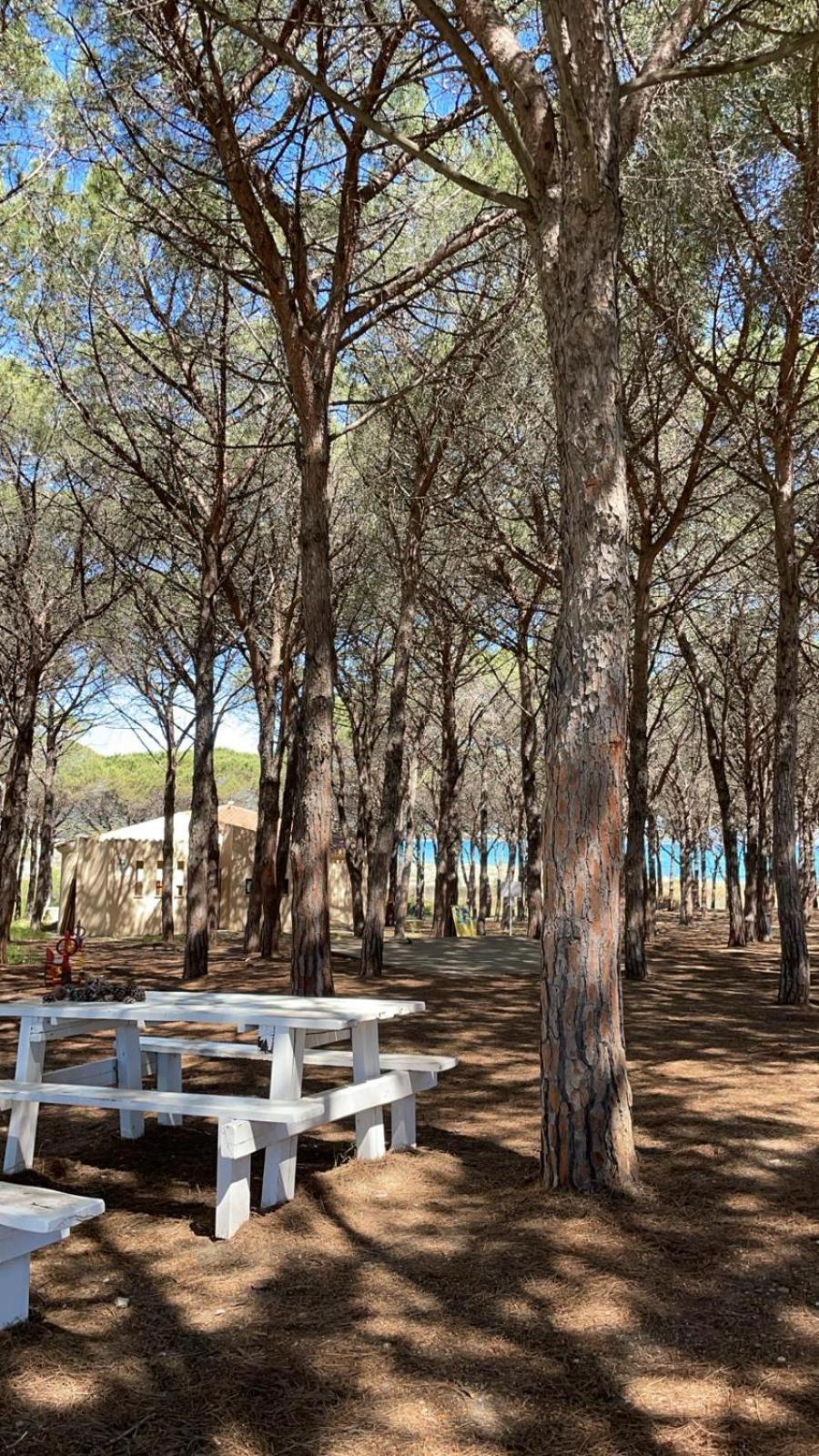 Sorres De Mare Villa Budoni Buitenkant foto