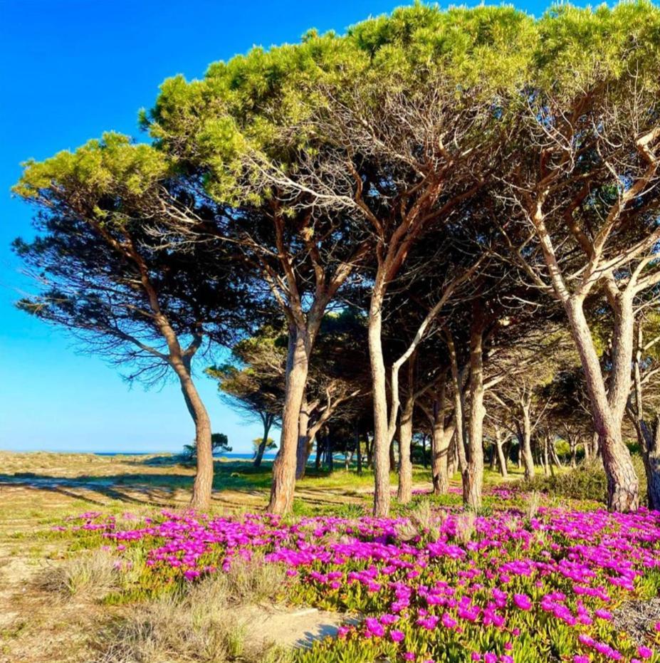 Sorres De Mare Villa Budoni Buitenkant foto